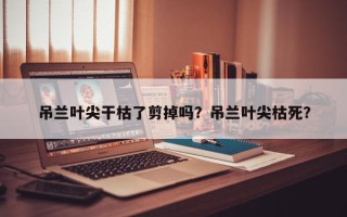 吊兰叶尖干枯了剪掉吗？吊兰叶尖枯死？