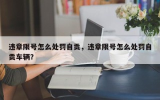 违章限号怎么处罚自贡，违章限号怎么处罚自贡车辆？