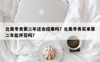 北美冬青第二年还会结果吗？北美冬青买来第二年能开花吗？