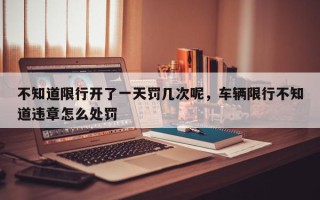 不知道限行开了一天罚几次呢，车辆限行不知道违章怎么处罚