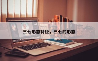 三七形态特征，三七的形态