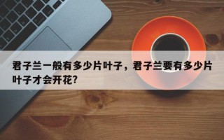 君子兰一般有多少片叶子，君子兰要有多少片叶子才会开花?