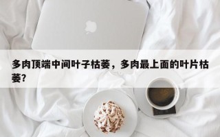 多肉顶端中间叶子枯萎，多肉最上面的叶片枯萎？