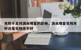 光照不足对滴水观音的影响，滴水观音见阳光好还是见阳光不好