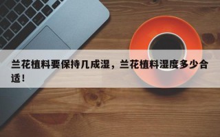 兰花植料要保持几成湿，兰花植料湿度多少合适！