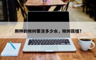 刚种的楸树要浇多少水，楸树栽植？