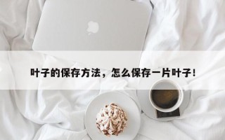 叶子的保存方法，怎么保存一片叶子！