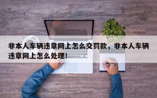 非本人车辆违章网上怎么交罚款，非本人车辆违章网上怎么处理！