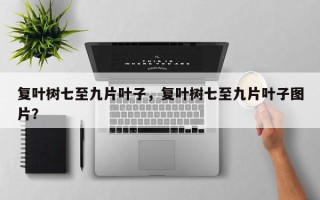 复叶树七至九片叶子，复叶树七至九片叶子图片？