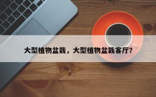 大型植物盆栽，大型植物盆栽客厅？