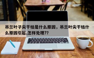 吊兰叶子尖干枯是什么原因，吊兰叶尖干枯什么原因引起,怎样处理?？