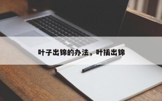 叶子出锦的办法，叶插出锦