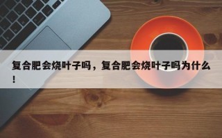 复合肥会烧叶子吗，复合肥会烧叶子吗为什么！