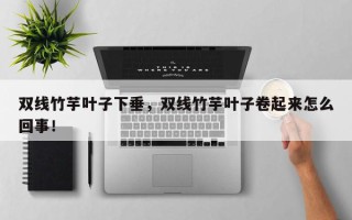 双线竹芋叶子下垂，双线竹芋叶子卷起来怎么回事！