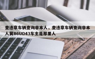 查违章车辆查询非本人，查违章车辆查询非本人冀B6UD43车主是那里人