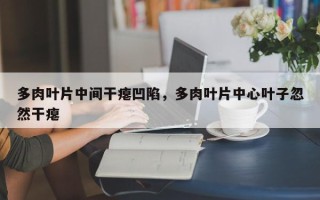 多肉叶片中间干瘪凹陷，多肉叶片中心叶子忽然干瘪