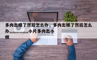 多肉出根了然后怎么办，多肉出根了然后怎么办,,,,,,,,,,,,,小片多肉出小根