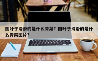 圆叶子滑滑的是什么青菜？圆叶子滑滑的是什么青菜图片？