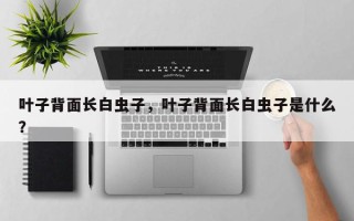 叶子背面长白虫子，叶子背面长白虫子是什么？