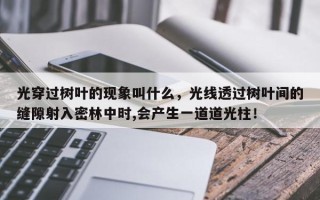 光穿过树叶的现象叫什么，光线透过树叶间的缝隙射入密林中时,会产生一道道光柱！