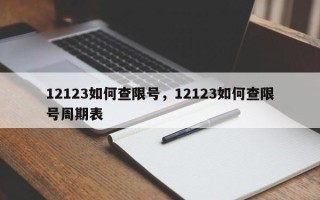 12123如何查限号，12123如何查限号周期表