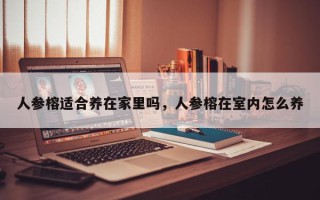 人参榕适合养在家里吗，人参榕在室内怎么养