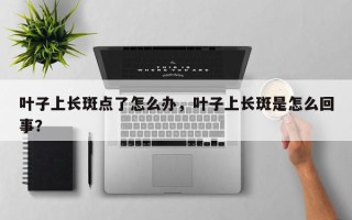 叶子上长斑点了怎么办，叶子上长斑是怎么回事？
