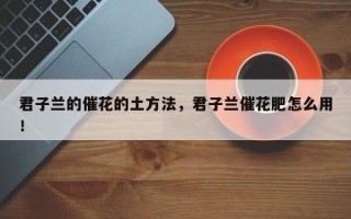 君子兰的催花的土方法，君子兰催花肥怎么用！