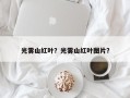 光雾山红叶？光雾山红叶图片？