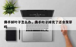 佛手掉叶子怎么办，佛手叶子掉光了还会发芽吗