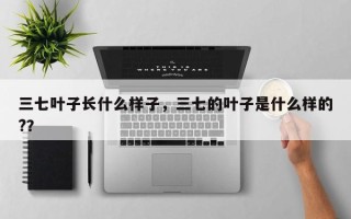 三七叶子长什么样子，三七的叶子是什么样的?？