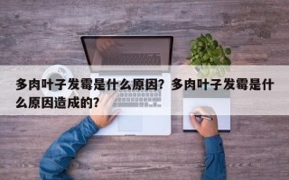 多肉叶子发霉是什么原因？多肉叶子发霉是什么原因造成的？