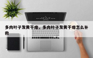 多肉叶子发黄干瘪，多肉叶子发黄干瘪怎么补救