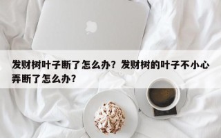 发财树叶子断了怎么办？发财树的叶子不小心弄断了怎么办？