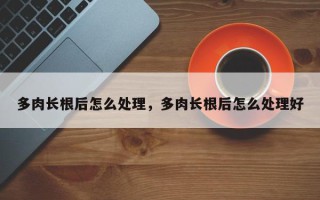 多肉长根后怎么处理，多肉长根后怎么处理好