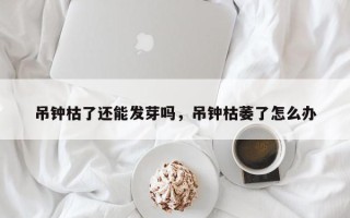 吊钟枯了还能发芽吗，吊钟枯萎了怎么办