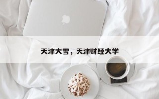 天津大雪，天津财经大学