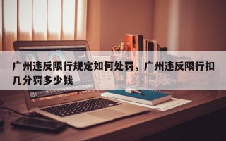 广州违反限行规定如何处罚，广州违反限行扣几分罚多少钱