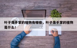 叶子像手掌的植物有哪些，叶子像手掌的植物是什么！