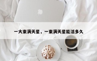 一大束满天星，一束满天星能活多久