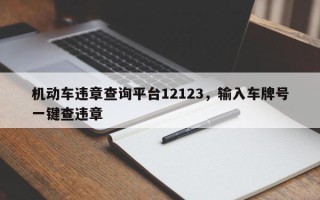 机动车违章查询平台12123，输入车牌号一键查违章