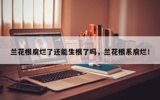 兰花根腐烂了还能生根了吗，兰花根系腐烂！