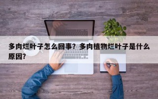 多肉烂叶子怎么回事？多肉植物烂叶子是什么原因？
