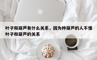 叶子和葫芦有什么关系，因为种葫芦的人不懂叶子和葫芦的关系