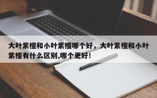 大叶紫檀和小叶紫檀哪个好，大叶紫檀和小叶紫檀有什么区别,哪个更好！