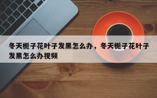 冬天栀子花叶子发黑怎么办，冬天栀子花叶子发黑怎么办视频