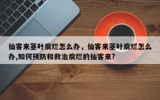 仙客来茎叶腐烂怎么办，仙客来茎叶腐烂怎么办,如何预防和救治腐烂的仙客来?