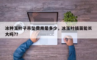 冰种玉叶子吊坠费用是多少，冰玉叶插苗能长大吗?？