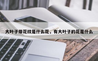 大叶子带花纹是什么花，有大叶子的花是什么