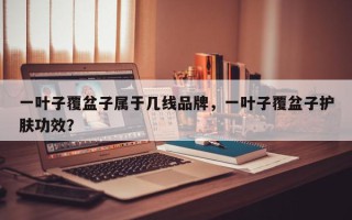 一叶子覆盆子属于几线品牌，一叶子覆盆子护肤功效？